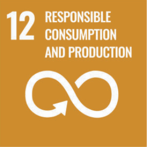 SDG 12: Responsible Consumption and Production